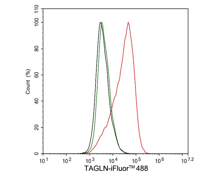 Transgelin/TAGLN/SM22 alpha Antibody (JE60-72)