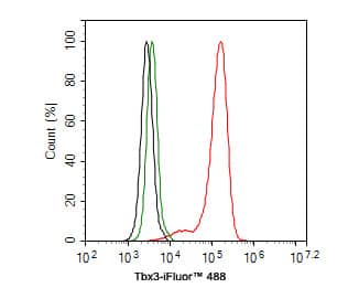 TBX3 Antibody (JE33-38)
