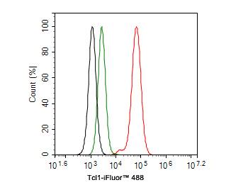 TCL1A Antibody (PD00-94)