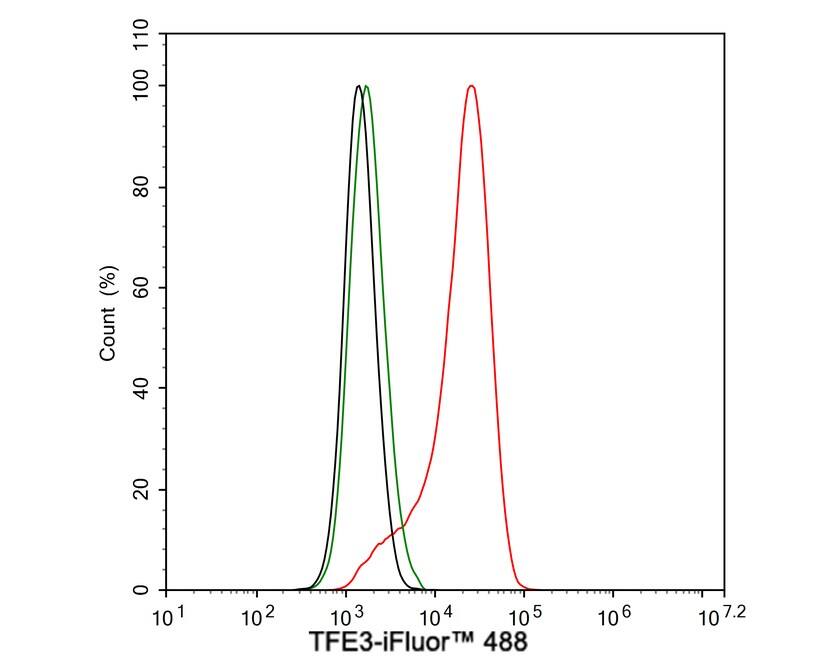 Transcription factor E3 Antibody (JE60-60)