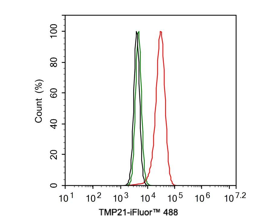 Tmp21/p23 Antibody (PSH01-41)