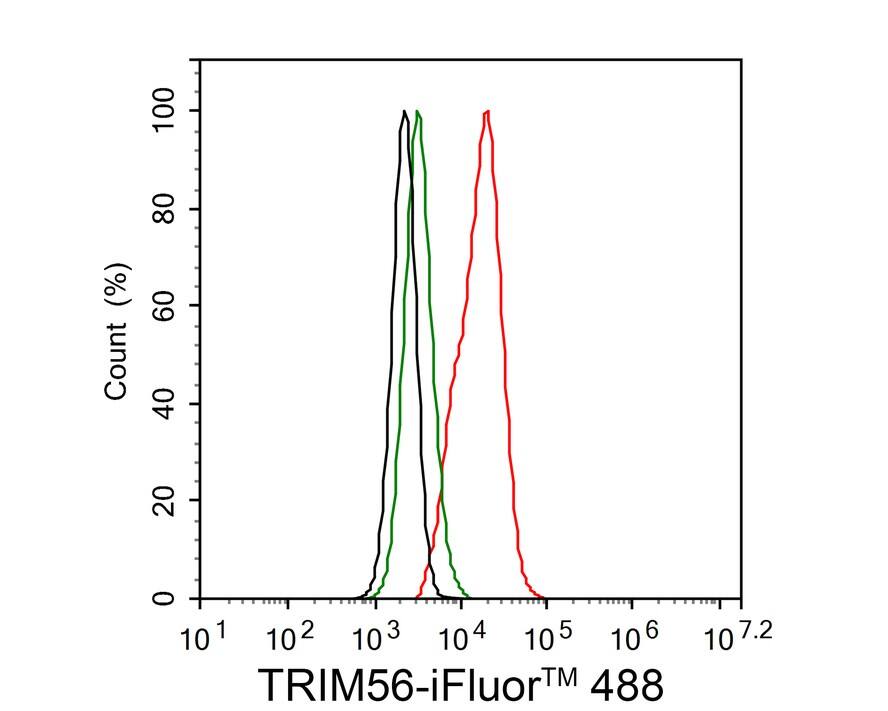 TRIM56 Antibody (PSH02-17)
