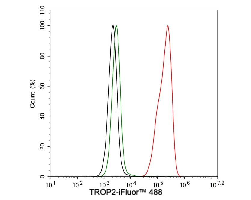 TROP-2 Antibody (A10G7-R)