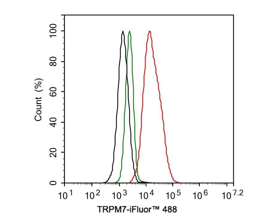 TRPM7 Antibody (JE38-36)