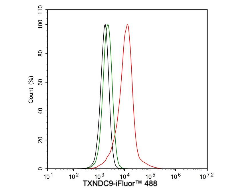 TXNDC9 Antibody (PSH04-43)