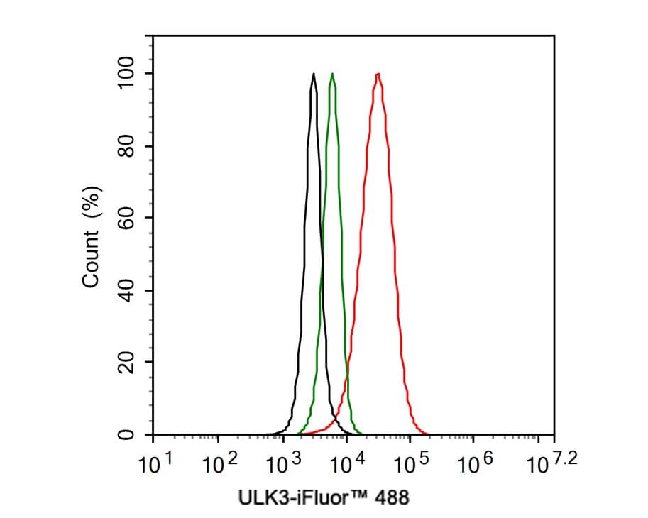 ULK3 Antibody (PSH01-09)