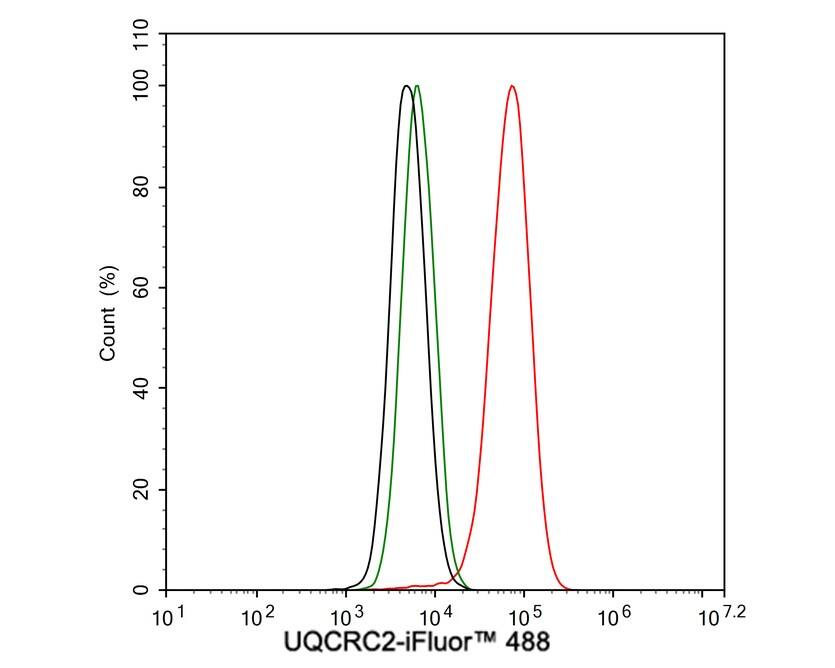 UQCRC2 Antibody (JE32-56)