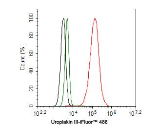 Uroplakin III Antibody (PD00-09)