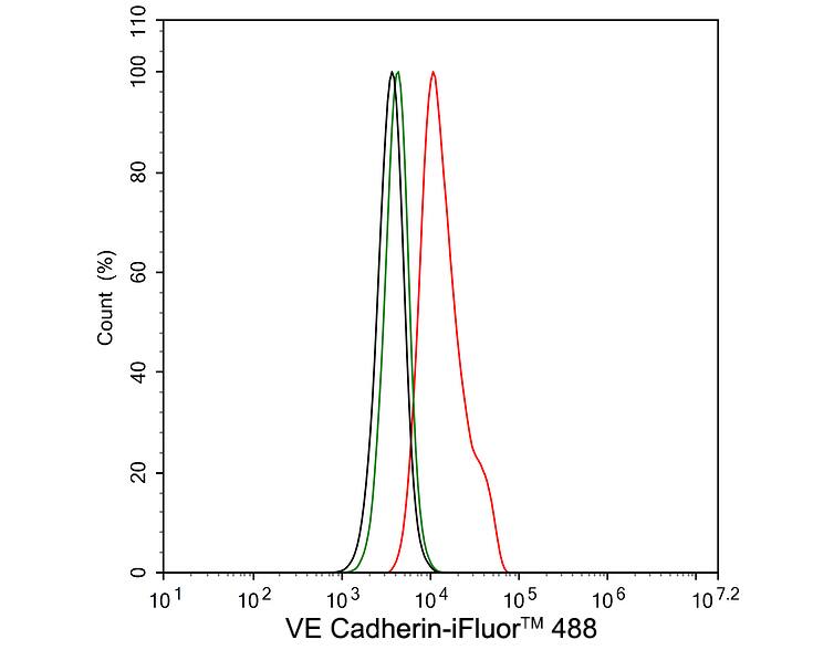VE-Cadherin Antibody (PSH03-15)