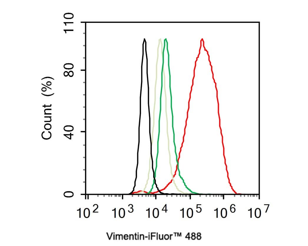 Vimentin Antibody (SC60-05)