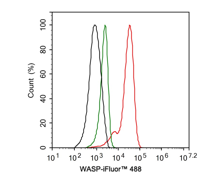 WASP Antibody (JE36-82)