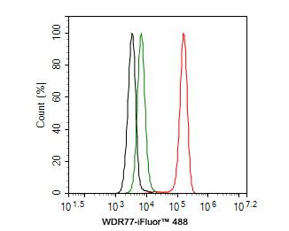 WDR77 Antibody (PSH0-07)
