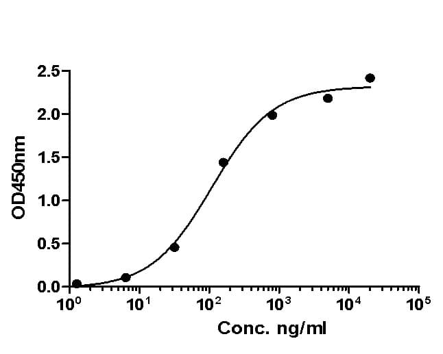 Mertansine/DM1 Antibody (A4G3-R)