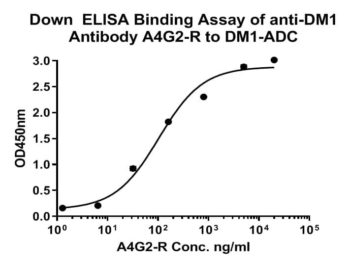 Mertansine/DM1 Antibody (A4G2-R)