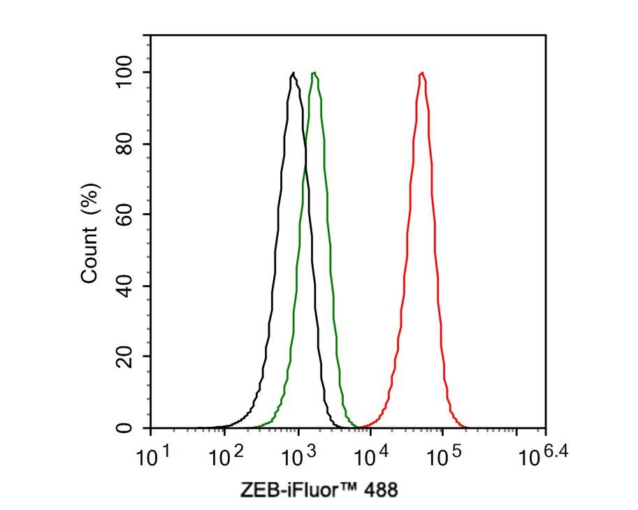 ZEB1 Antibody (PSH0-61)
