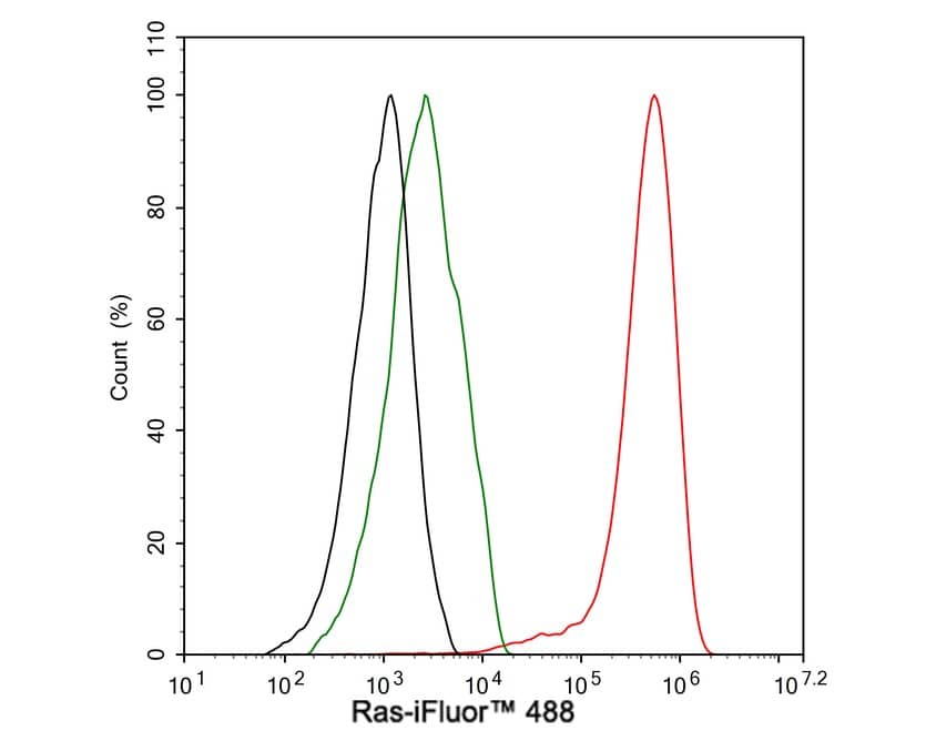 Ras Antibody (JE44-13)