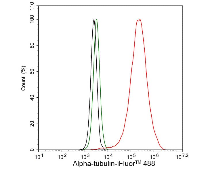 alpha Tubulin Antibody (PSH02-95)