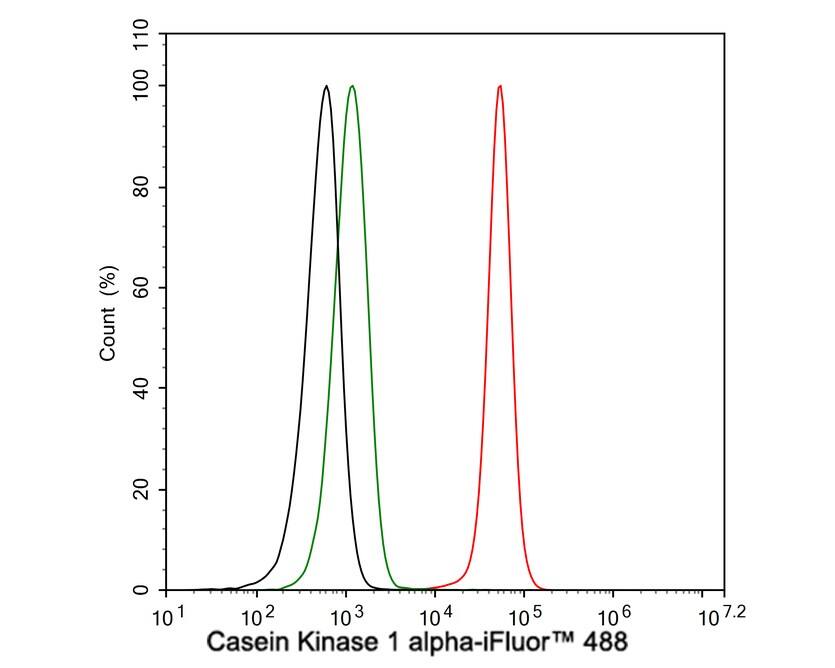 CSNK1A1/CSNK1A1L Antibody (PSH04-58)