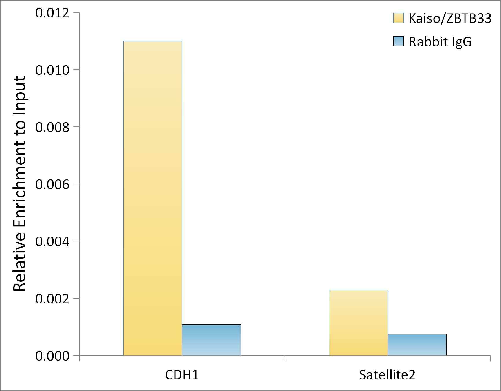 Kaiso Antibody