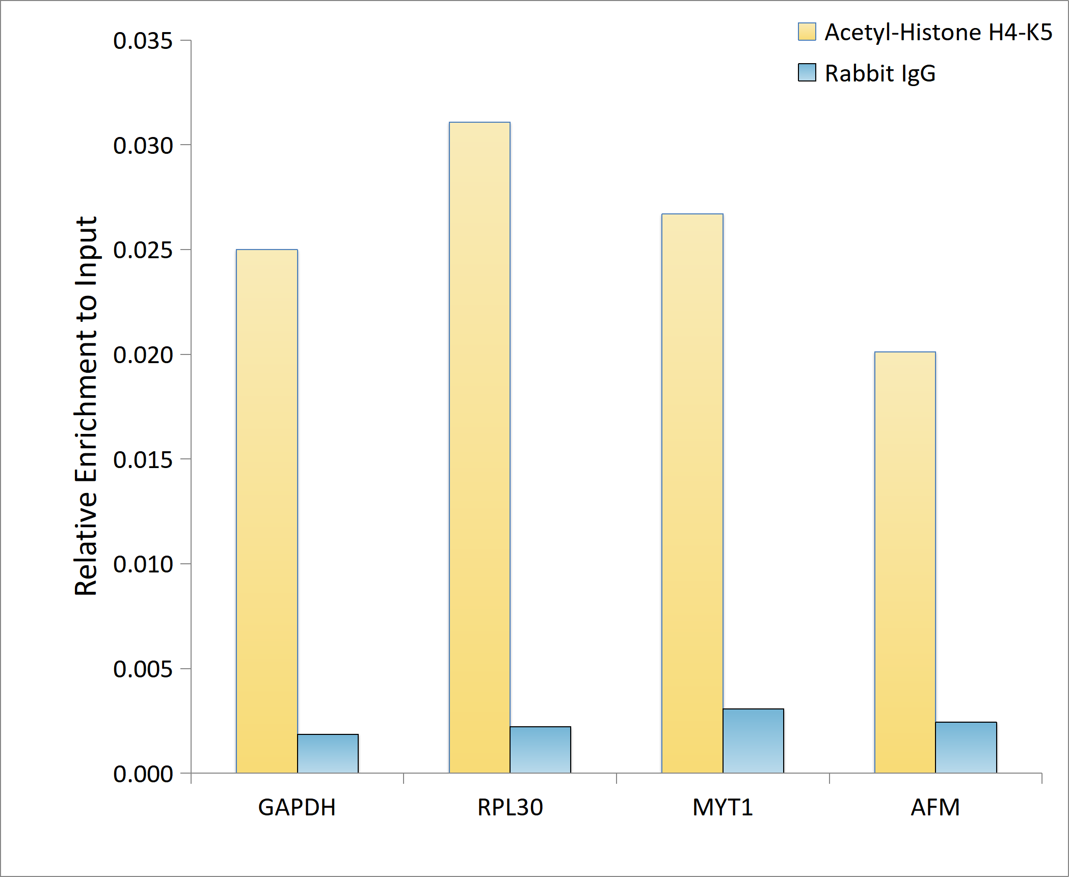 H4 Clustered Histone 1 [ac Lys5] Antibody