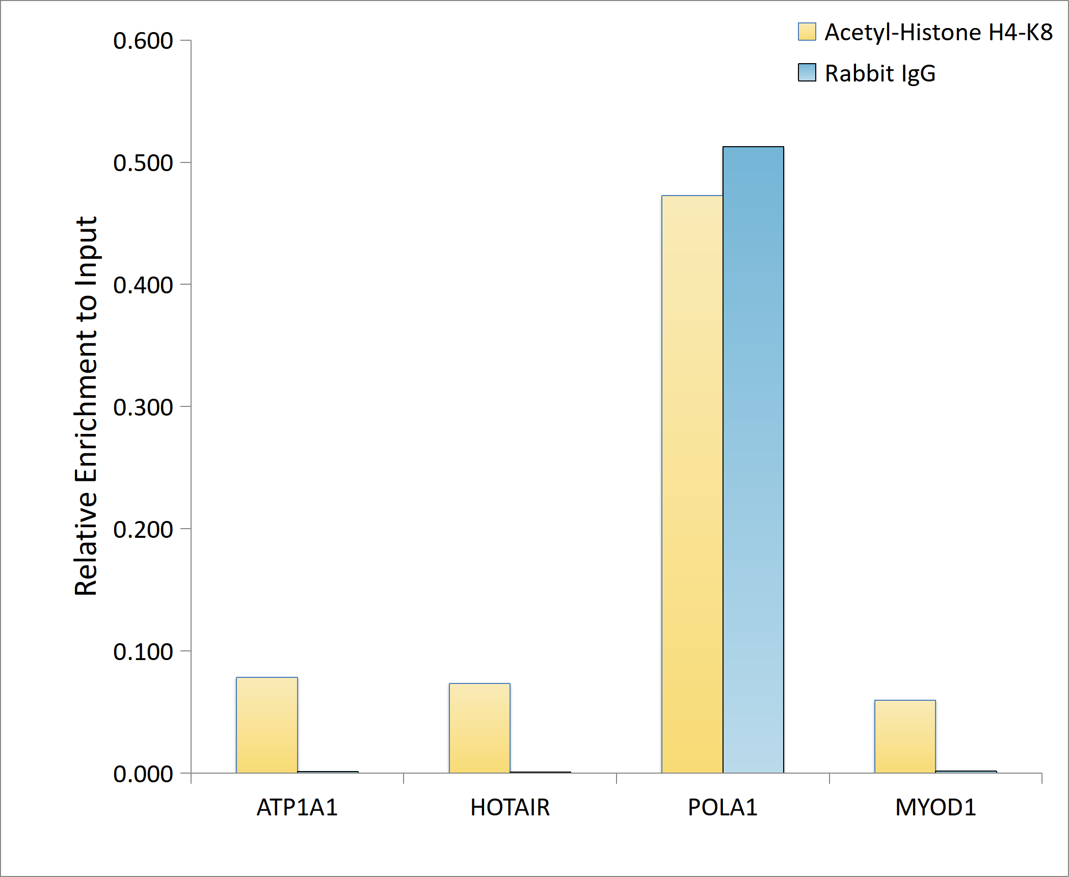 H4 Clustered Histone 1 [ac Lys8] Antibody
