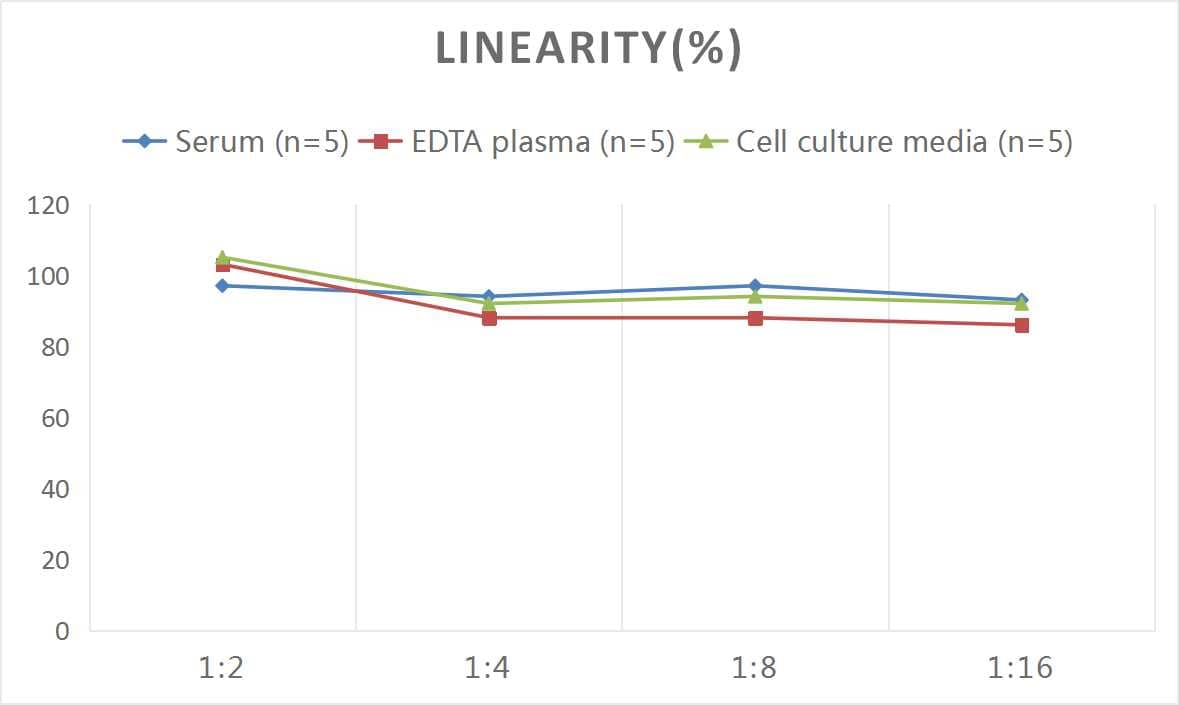 Human MR-proADM ELISA Kit (Colorimetric)