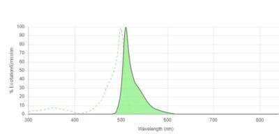 Fluorescent Exosome Standards (LnCAP cell line)