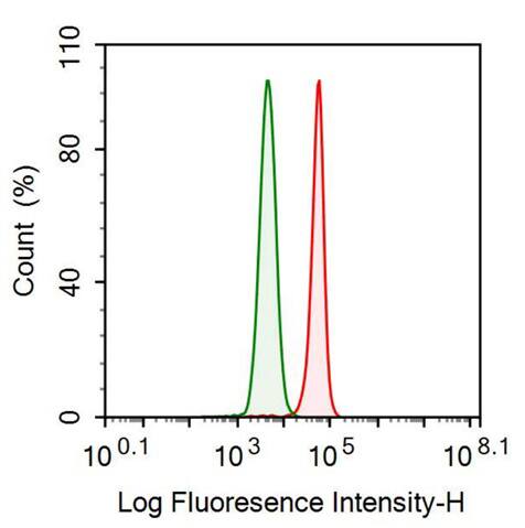 ABP1/AOC1 Antibody (C12)