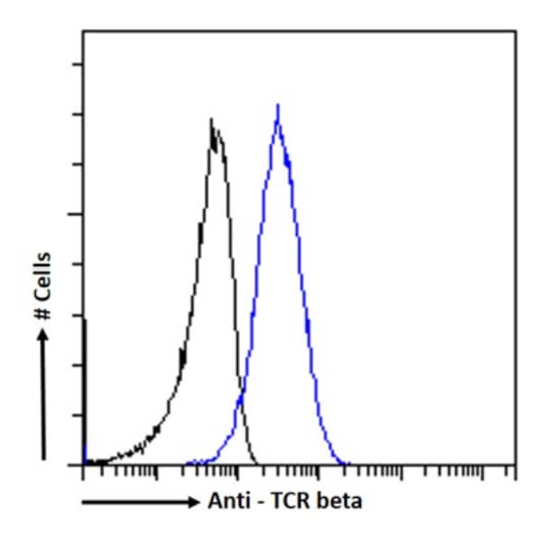 TCR beta Antibody (IARC307) - Chimeric - BSA Free