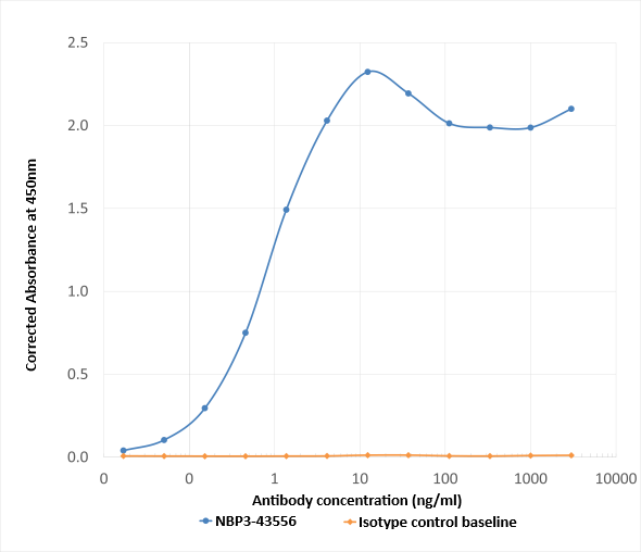 Norovirus VP1 Antibody (A1431) - Chimeric - BSA Free Norovirus VP1 Antibody (A1431) - Chimeric - BSA Free