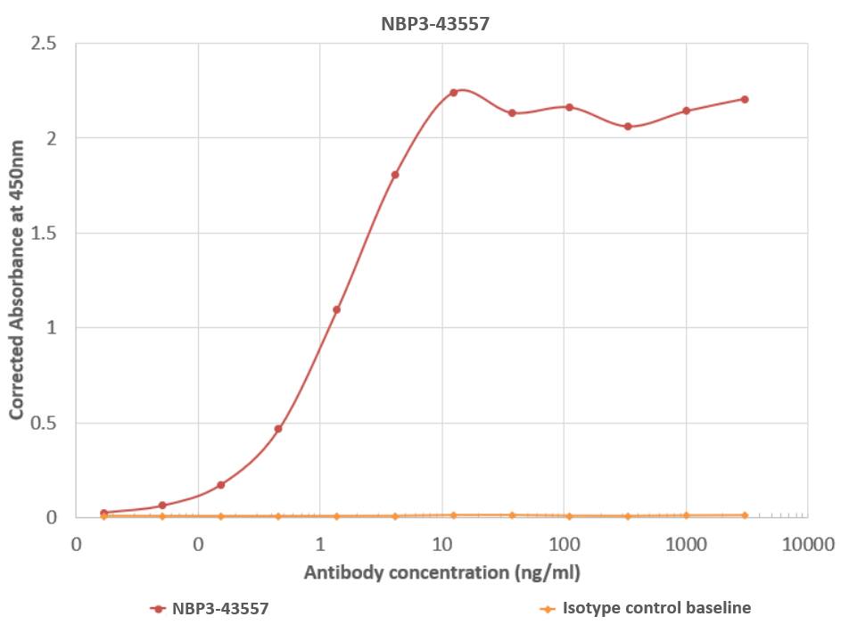 Norovirus VP1 Antibody (A1431) - Chimeric - BSA Free