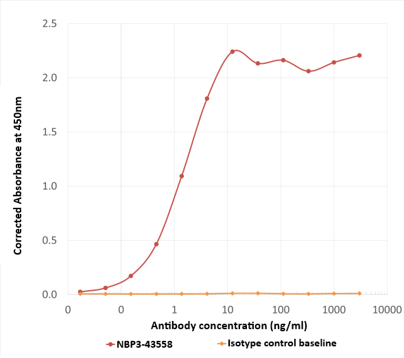 Norovirus VP1 Antibody (A1227) - Chimeric - BSA Free Norovirus VP1 Antibody (A1227) - Chimeric - BSA Free