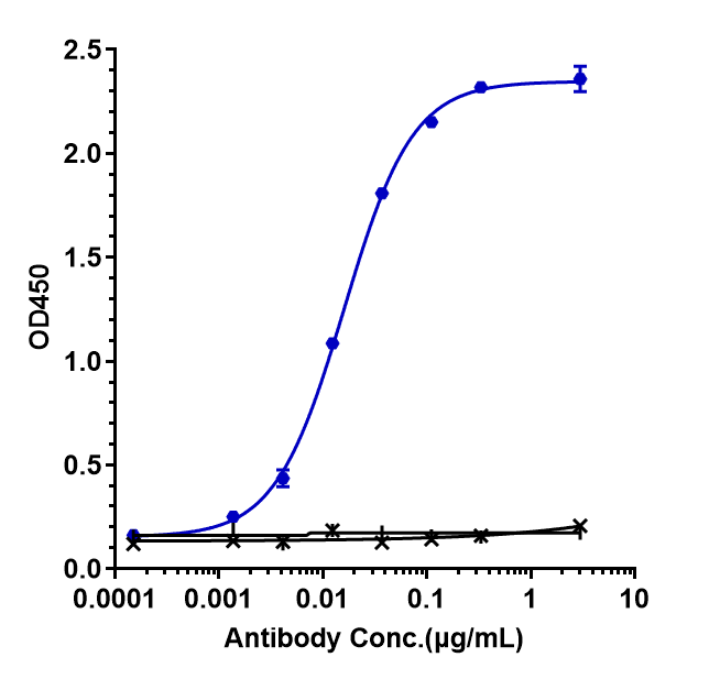 CD3/CD20 (Epcoritamab) Antibody ELISA: CD3/CD20 (Epcoritamab) Antibody [NBP3-44563] -