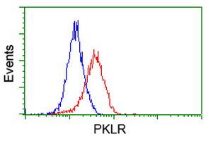 Pyruvate Kinase Antibody (OTI1H4) Flow Cytometry;Pyruvate Kinase Antibody (OTI1H4)[NBP3-44636]-