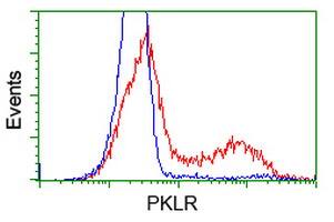 Pyruvate Kinase Antibody (OTI1H4) Flow Cytometry;Pyruvate Kinase Antibody (OTI1H4)[NBP3-44636]-