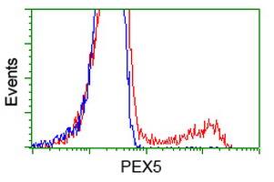 PEX5 Antibody (OTI6E9) Flow Cytometry;PEX5 Antibody (OTI6E9)[NBP3-44637]-