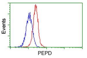 PEPD Antibody (OTI5D5) Flow Cytometry;PEPD Antibody (OTI5D5)[NBP3-44638]-