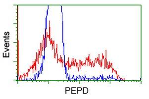 PEPD Antibody (OTI1B7) Flow Cytometry;PEPD Antibody (OTI1B7)[NBP3-44639]-