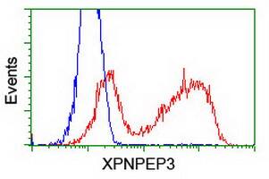 XPNPEP3 Antibody (OTI5G2) Flow Cytometry;XPNPEP3 Antibody (OTI5G2)[NBP3-44640]-