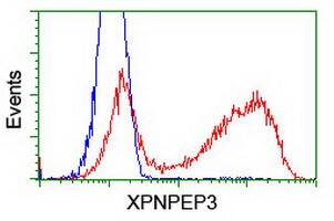XPNPEP3 Antibody (OTI4B8) Flow Cytometry;XPNPEP3 Antibody (OTI4B8)[NBP3-44641]-