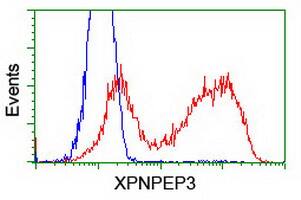 XPNPEP3 Antibody (OTI2D5) Flow Cytometry;XPNPEP3 Antibody (OTI2D5)[NBP3-44642]-