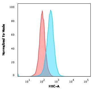 Aquaporin-4 Antibody (AQP4/3323) - Azide and BSA Free
