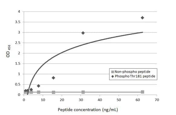 Tau [p Thr181] Antibody (HL2498) - Azide and BSA Free