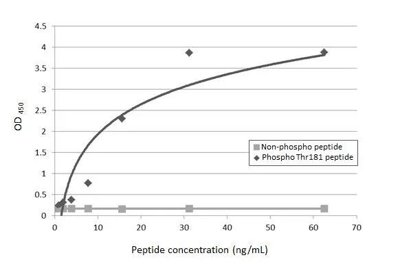 Tau [p Thr181] Antibody (HL2498) - Azide and BSA Free