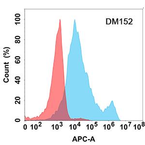 IL6R Antibody (DM152)