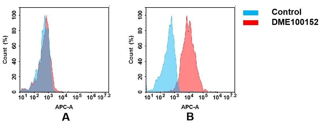 IL6R Antibody (DM152)