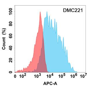 IFN-alpha/beta R1 Antibody (DMC221) - Chimeric