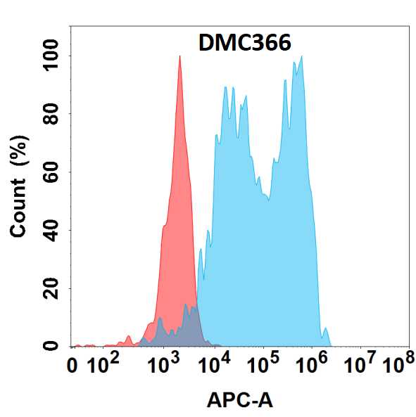 Complement Factor B Antibody (DMC366) - Chimeric