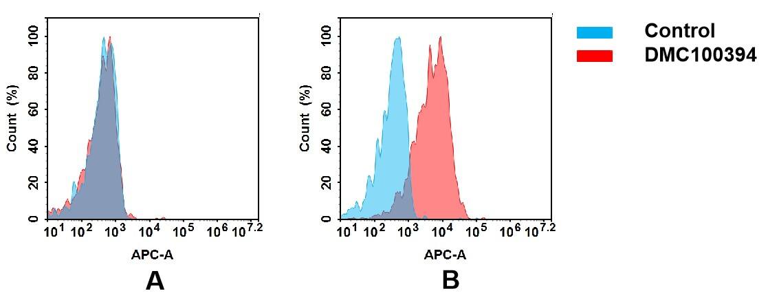 OCIL/CLEC2d Antibody (DMC394) - Chimeric
