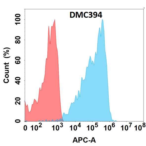 OCIL/CLEC2d Antibody (DMC394) - Chimeric